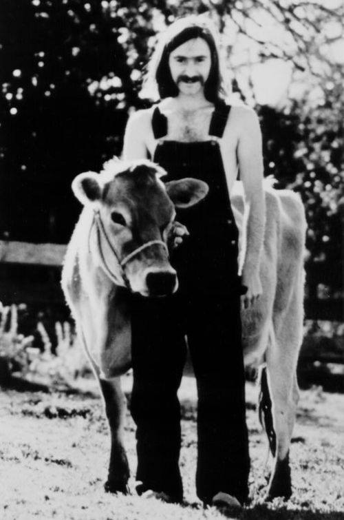 17098646_1527930727217137_3273086201654922119_n